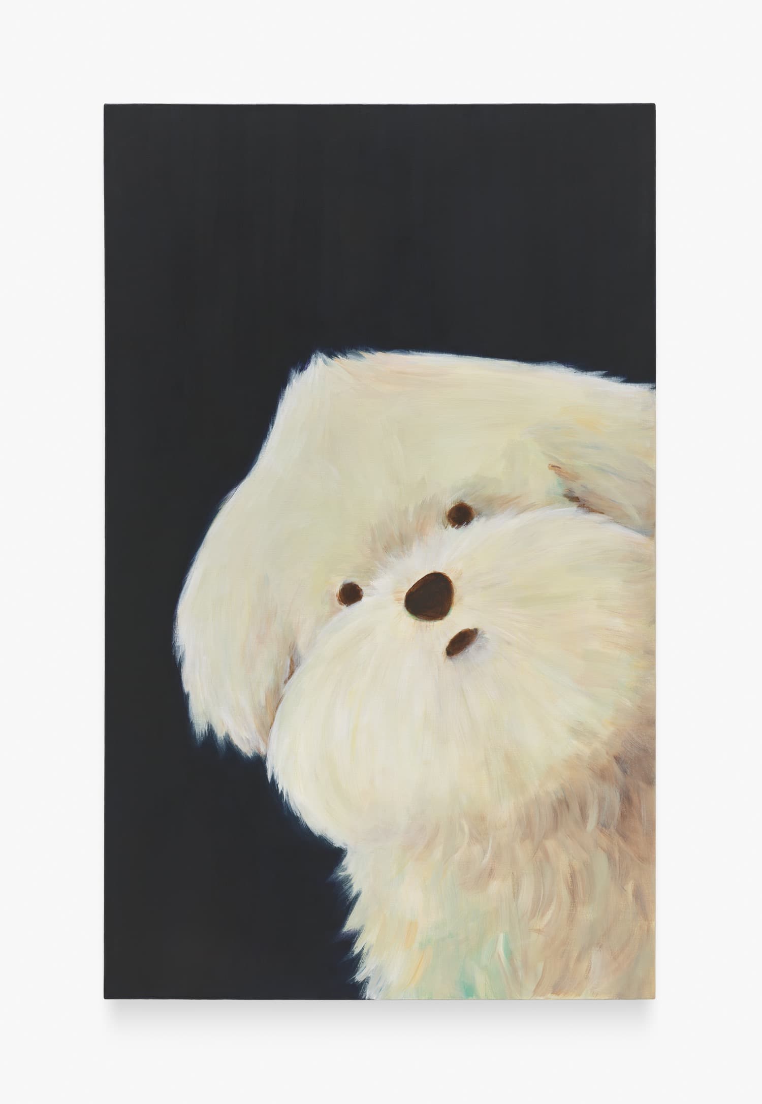 Gaze, 2025, Acrylic on canvas, 803 x 1303 mm